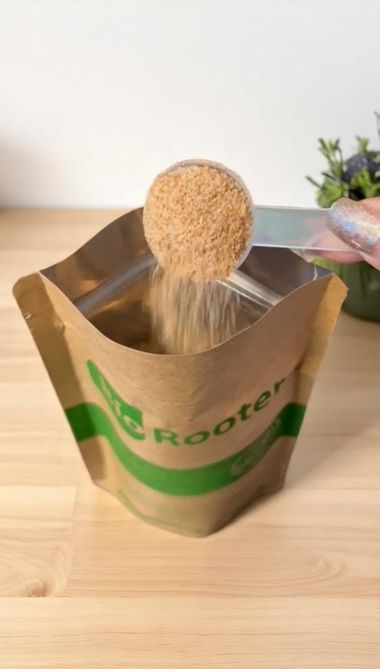 Biorooter 1kg - Limpa Caixa Gordura e Fossa - Sanear Brasil - Loja oficial | Produtos para tratamento de Água e esgoto