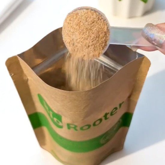 Biorooter 250gr - Limpa Caixa Gordura e Fossa - Sanear Brasil - Loja oficial | Produtos para tratamento de Água e esgoto