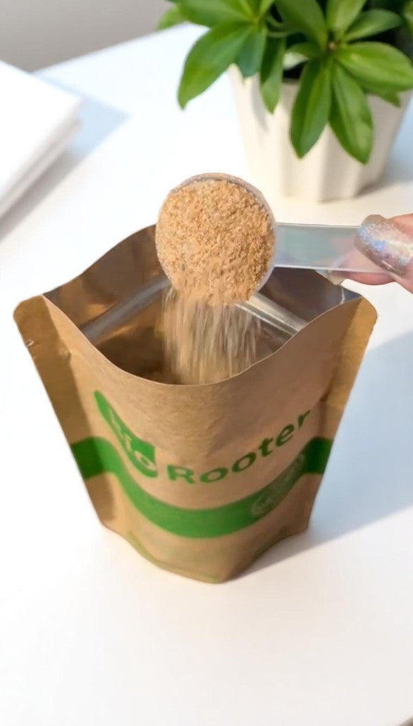 Biorooter 250gr - Limpa Caixa Gordura e Fossa - Sanear Brasil - Loja oficial | Produtos para tratamento de Água e esgoto